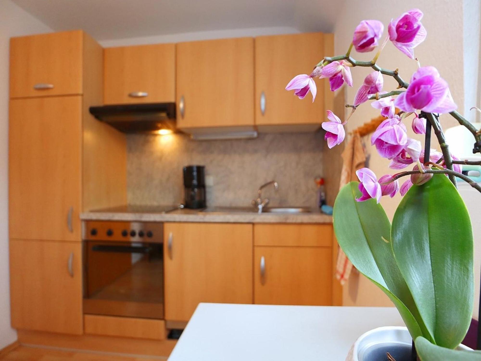 Cozy Apartment In Schwenningen With Garden Villingen-Schwenningen Exterior photo
